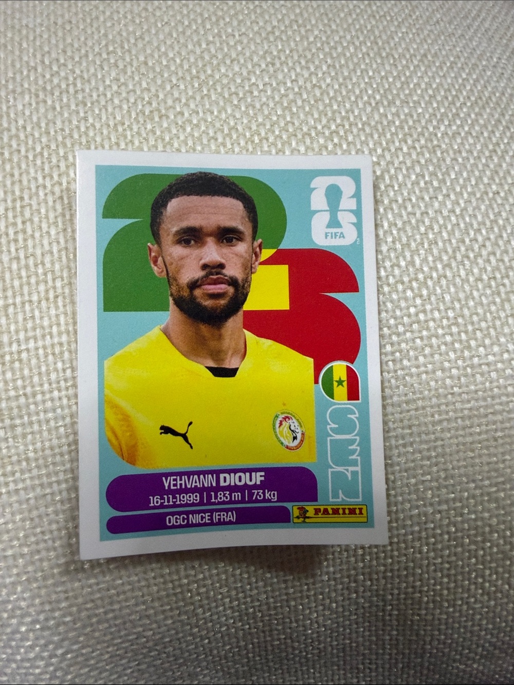 Panini Sticker - Yehvann Diouf - Senegal
